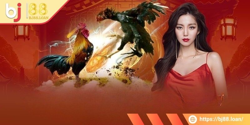 Đá Gà 4k BJ88 - Bộ Môn Kịch Tính, Rất Hấp Dẫn Bet Thủ 1 Những thông tin chính về đá gà 4k BJ88